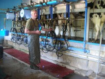 salle-de-traite-vache-laitiere-chateau-thierry